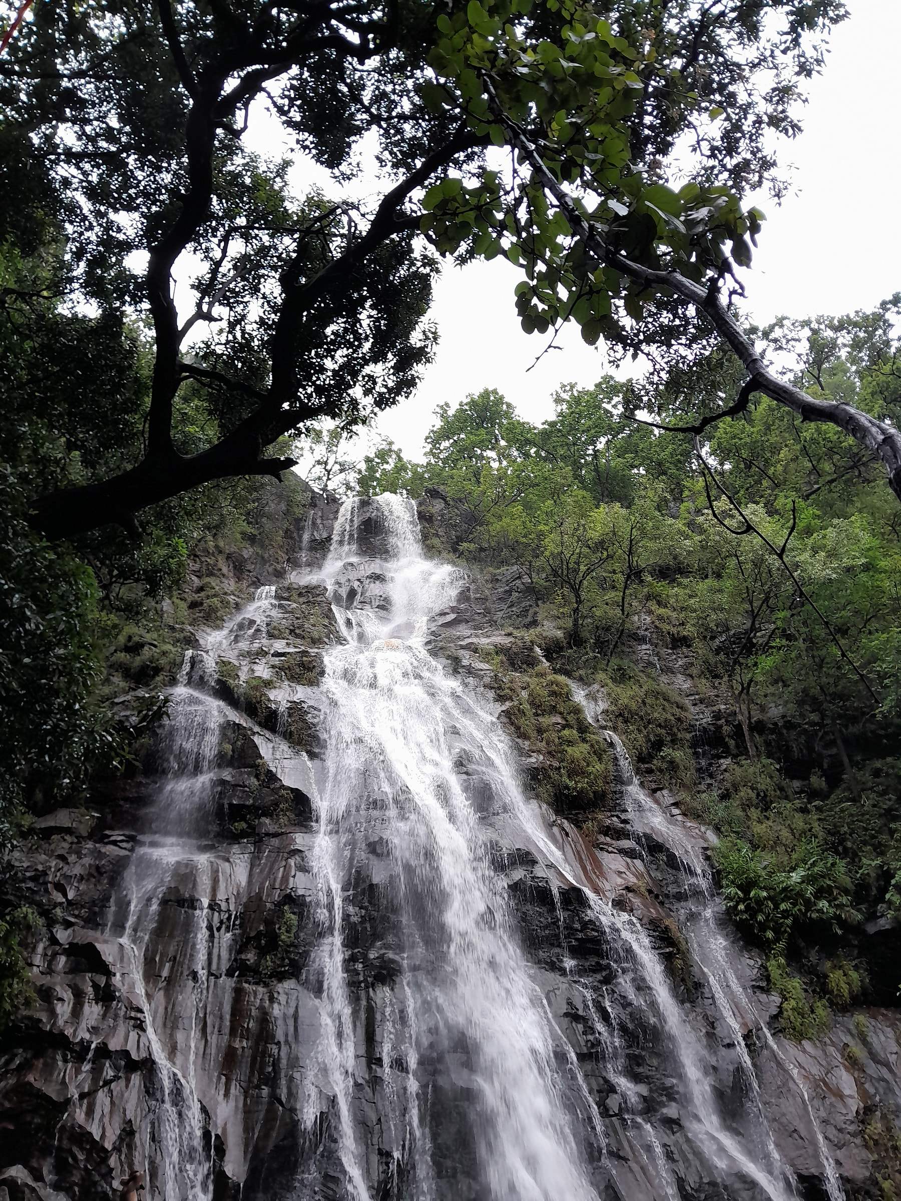Bee Fall, a tall waterfall pouring down dark rock in the forest at Pachmarhi