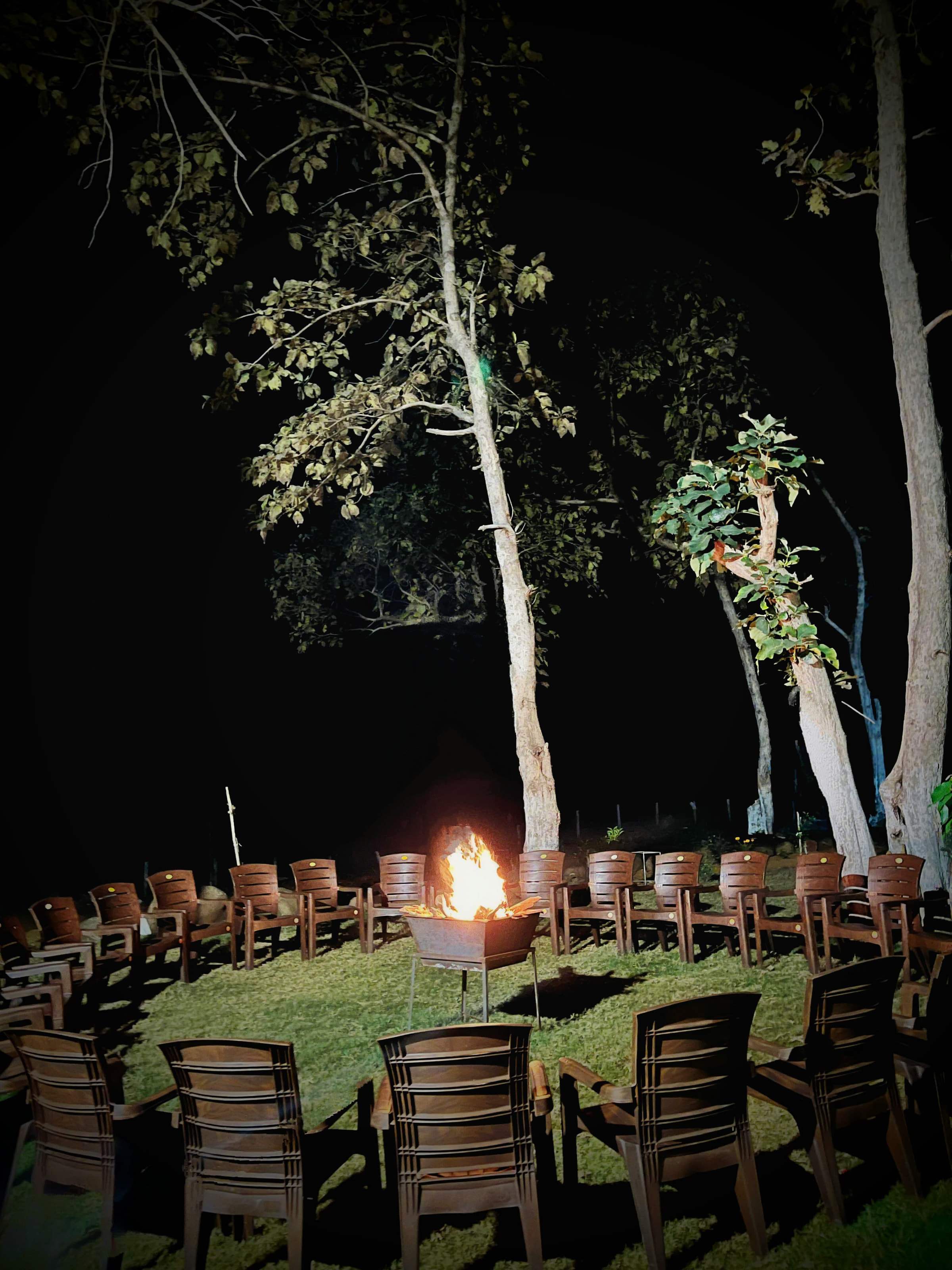 Bonfire at night on the lawn, ringed by chairs under tall trees