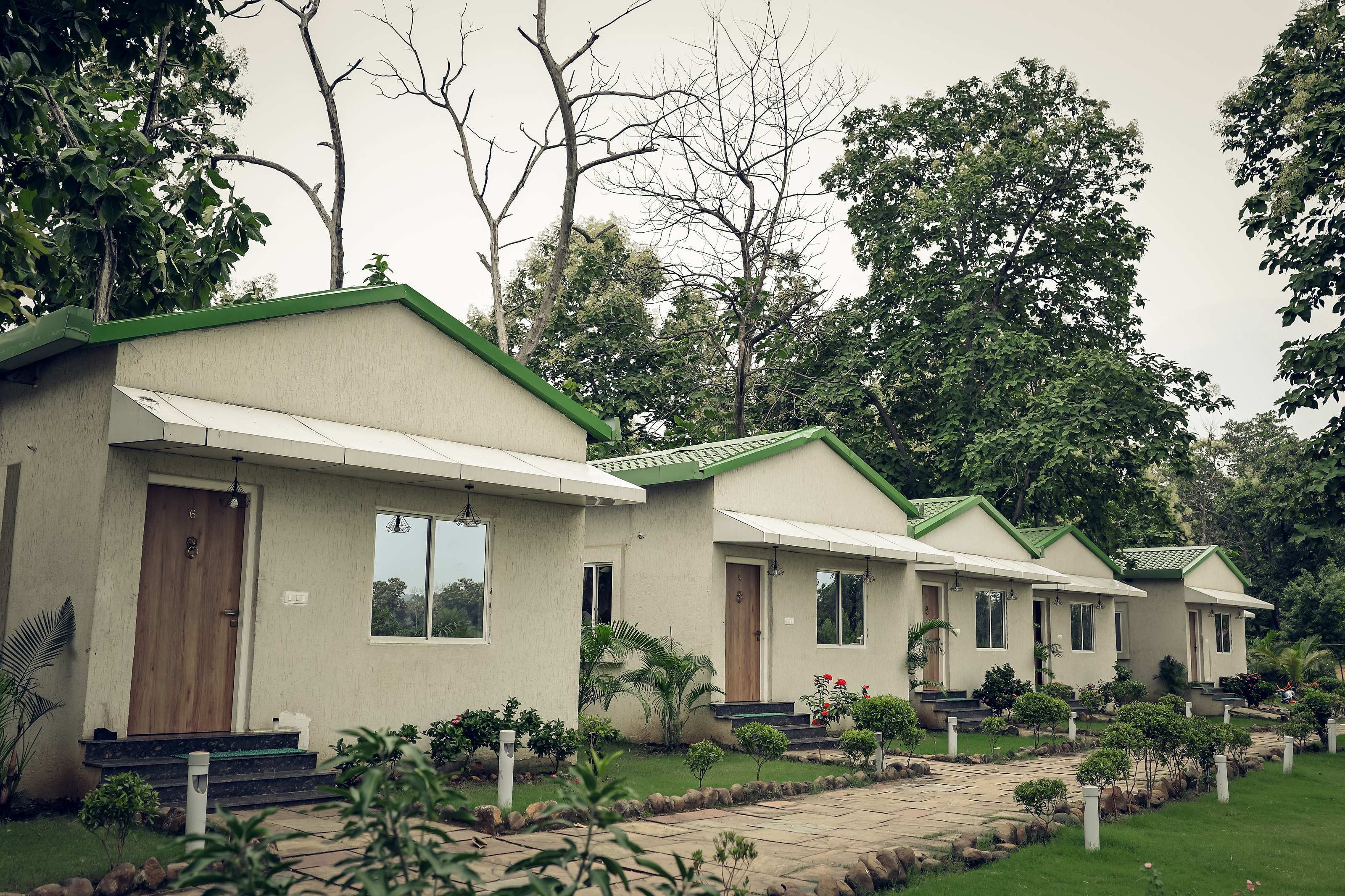 Row of cottages with green roofs, wooden doors and a planted garden path in front