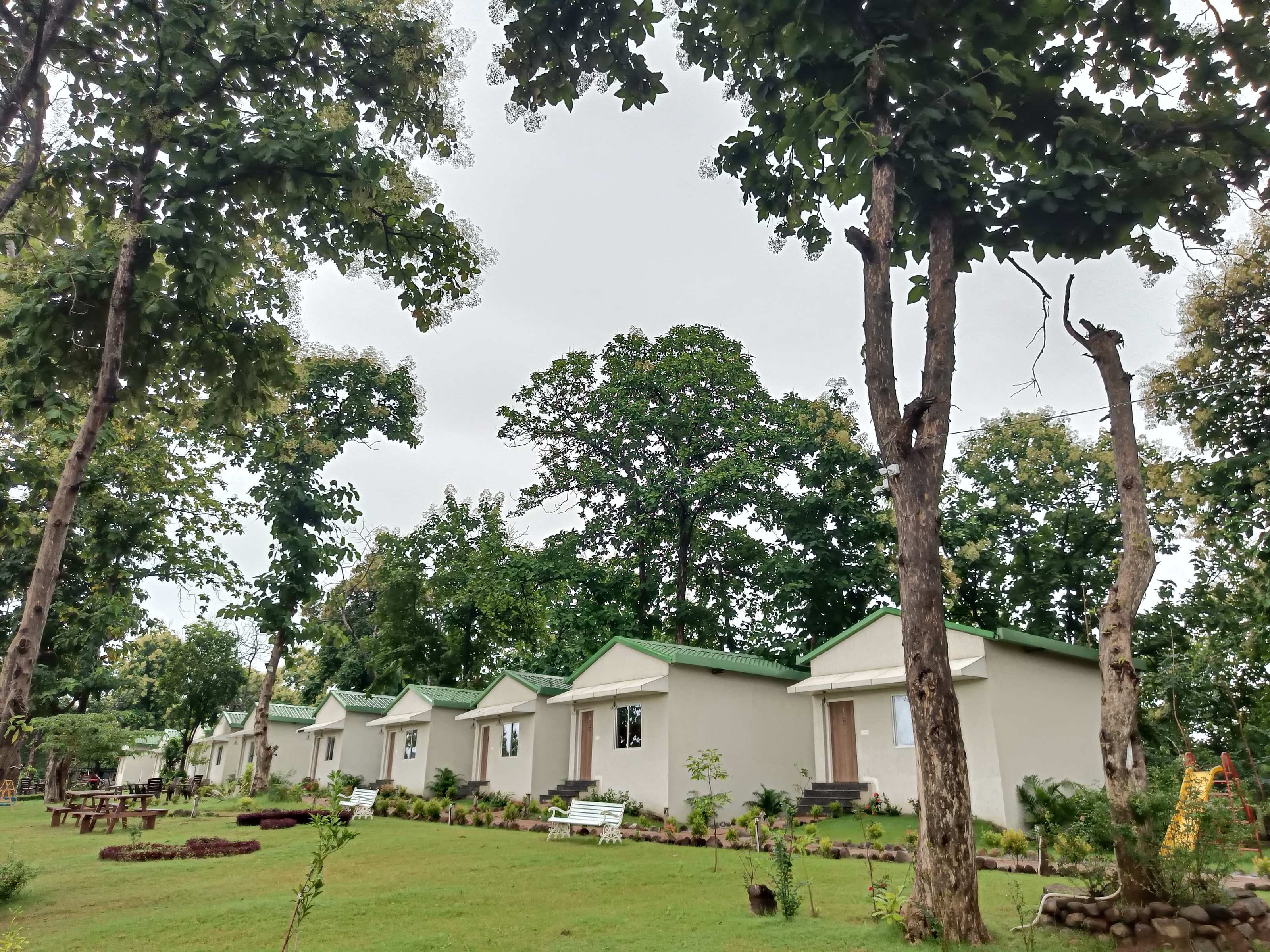 Cottages in a row beneath tall trees, with green monsoon lawns
