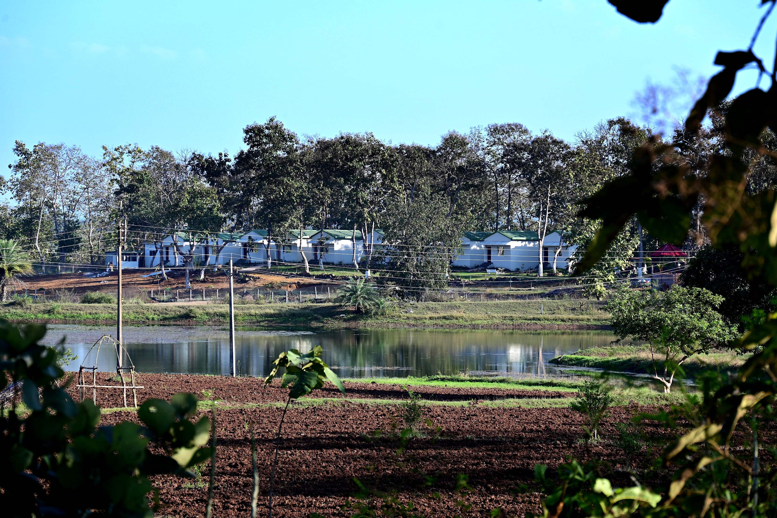 The resort cottages seen across the lake, through trees