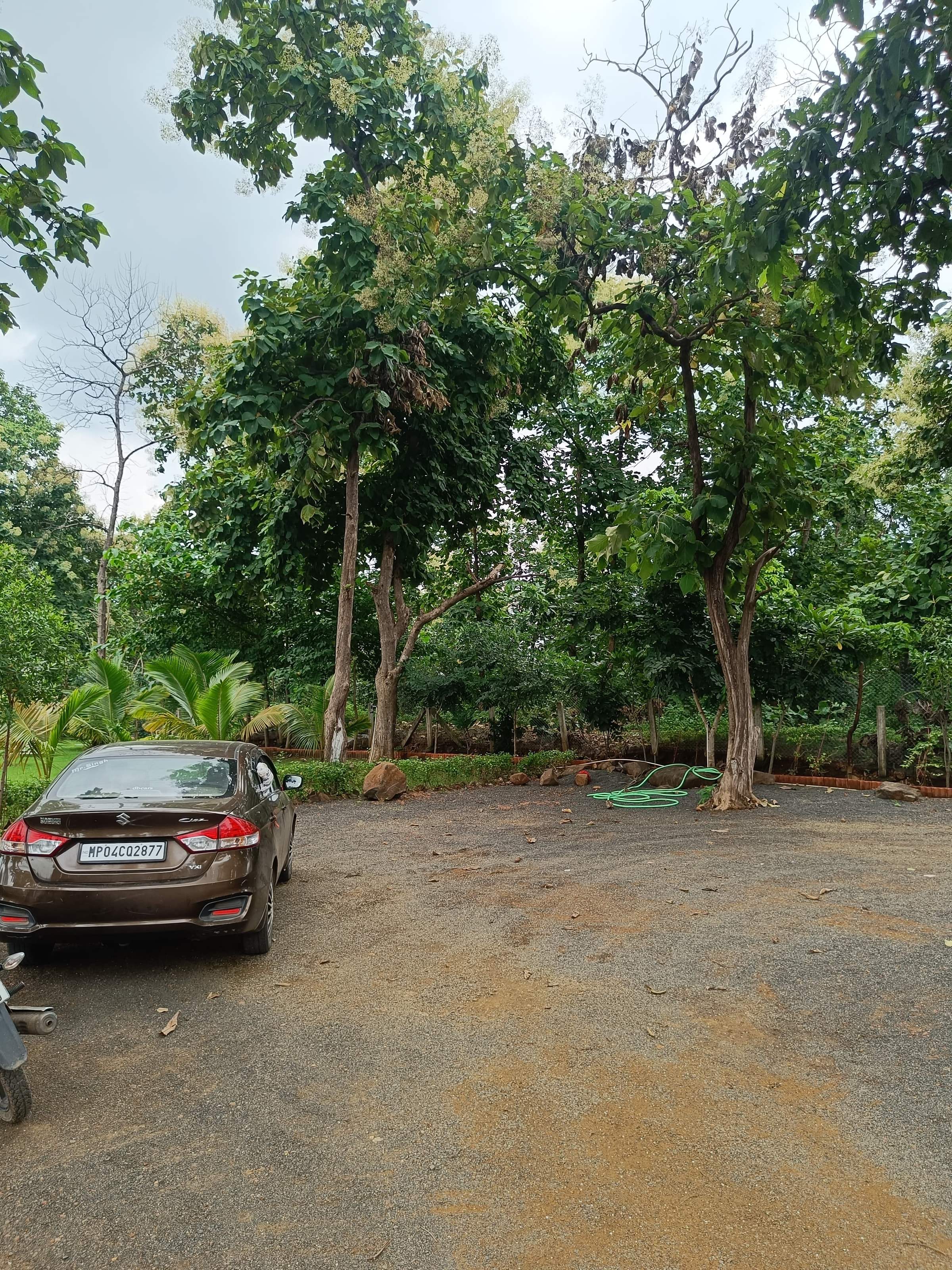 Gravel parking area inside the resort, shaded by tall trees, with a car parked
