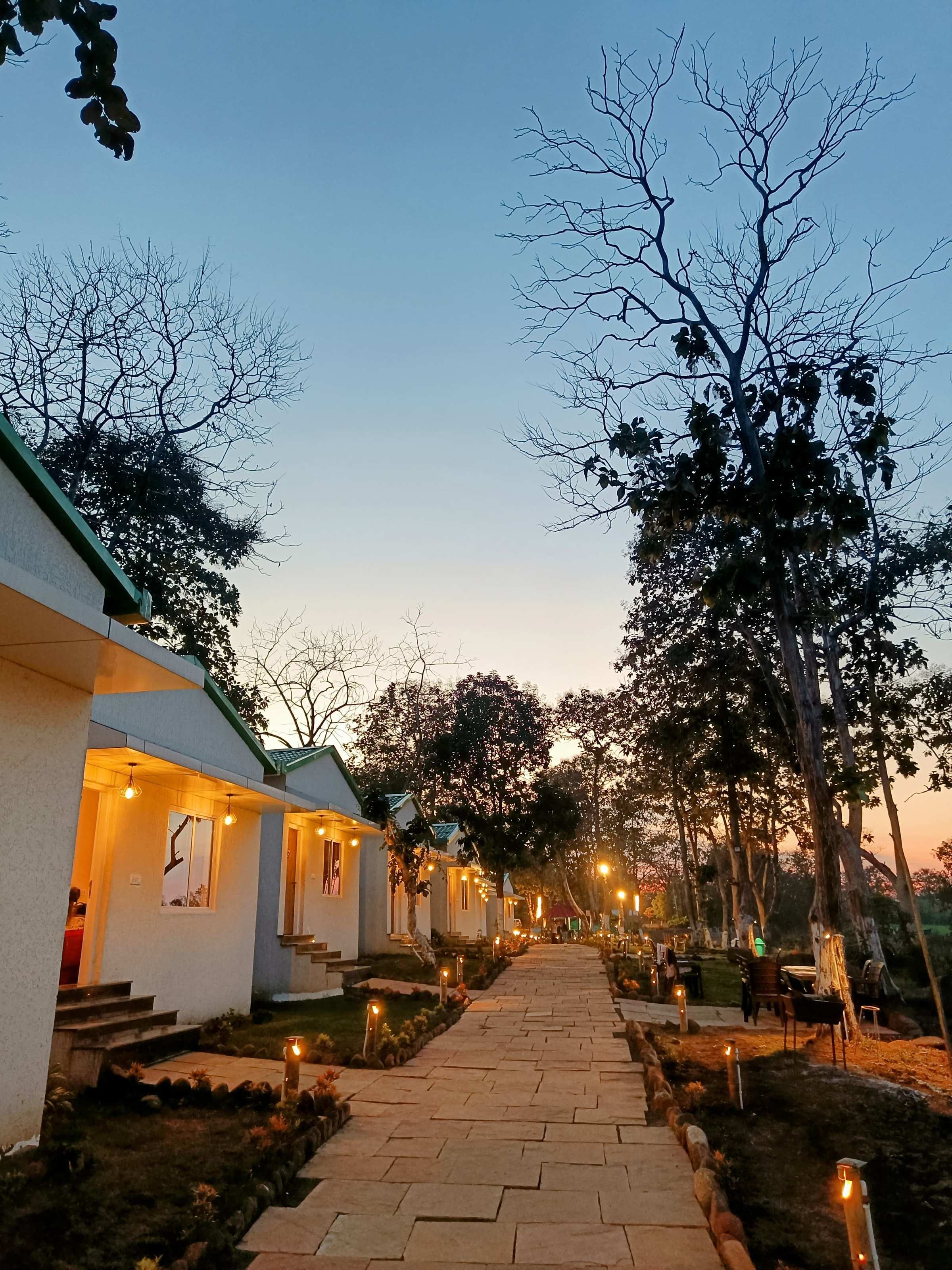 Stone pathway lit by lamps at dusk, with cottages on the left and tall trees against the evening sky