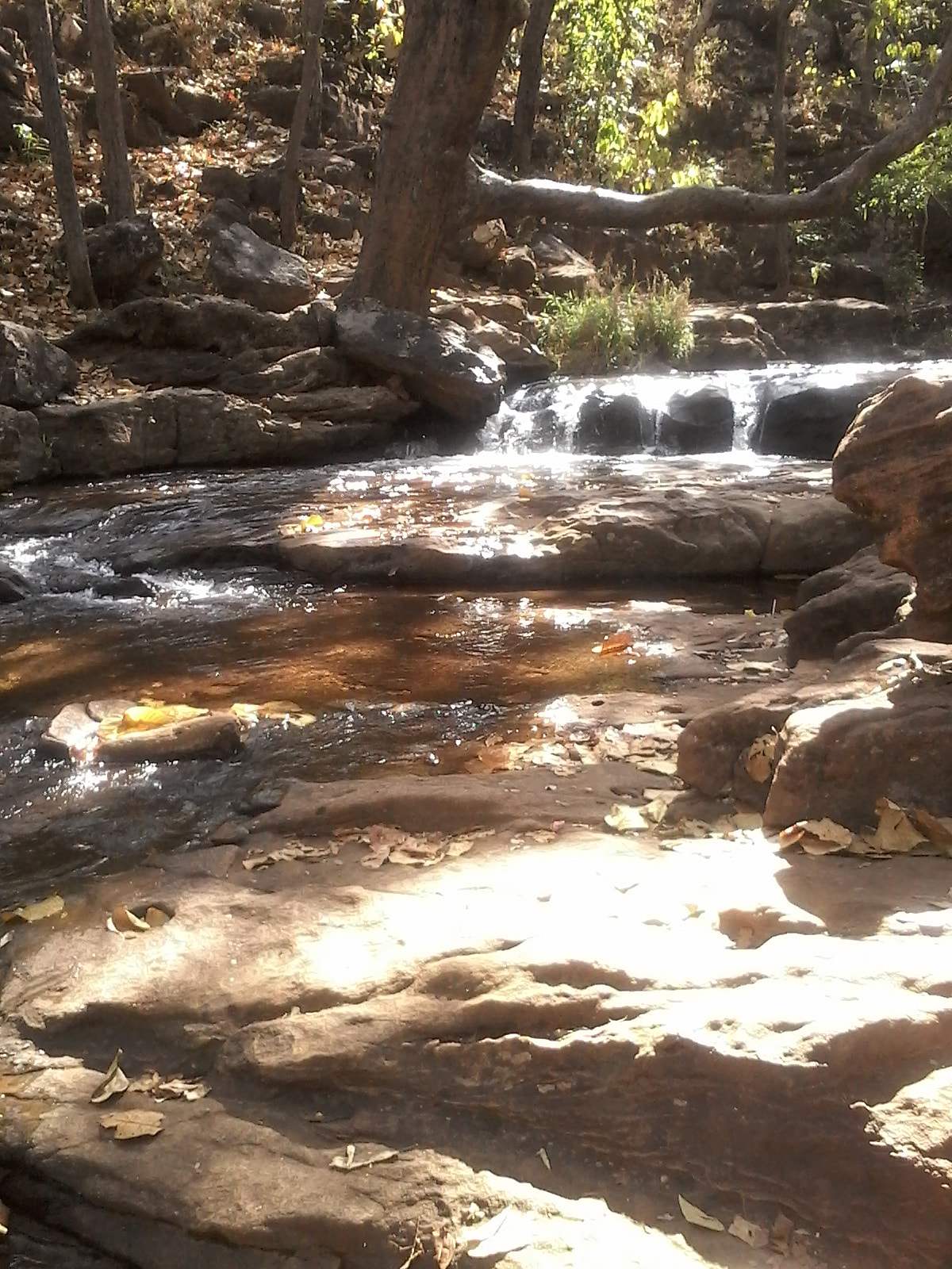 The stream and small falls at Apsara Vihar, dappled with sunlight