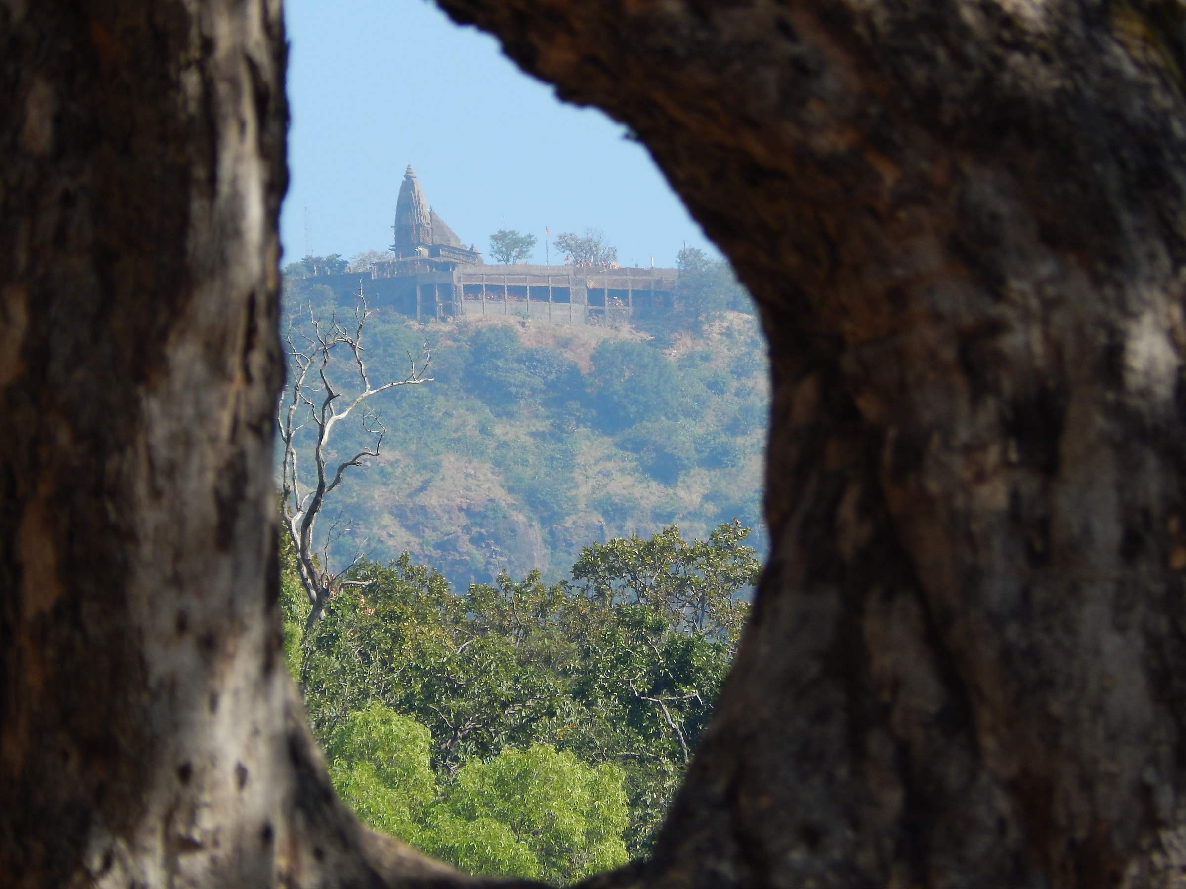 The Chauragarh temple on its peak, seen framed through a tree trunk