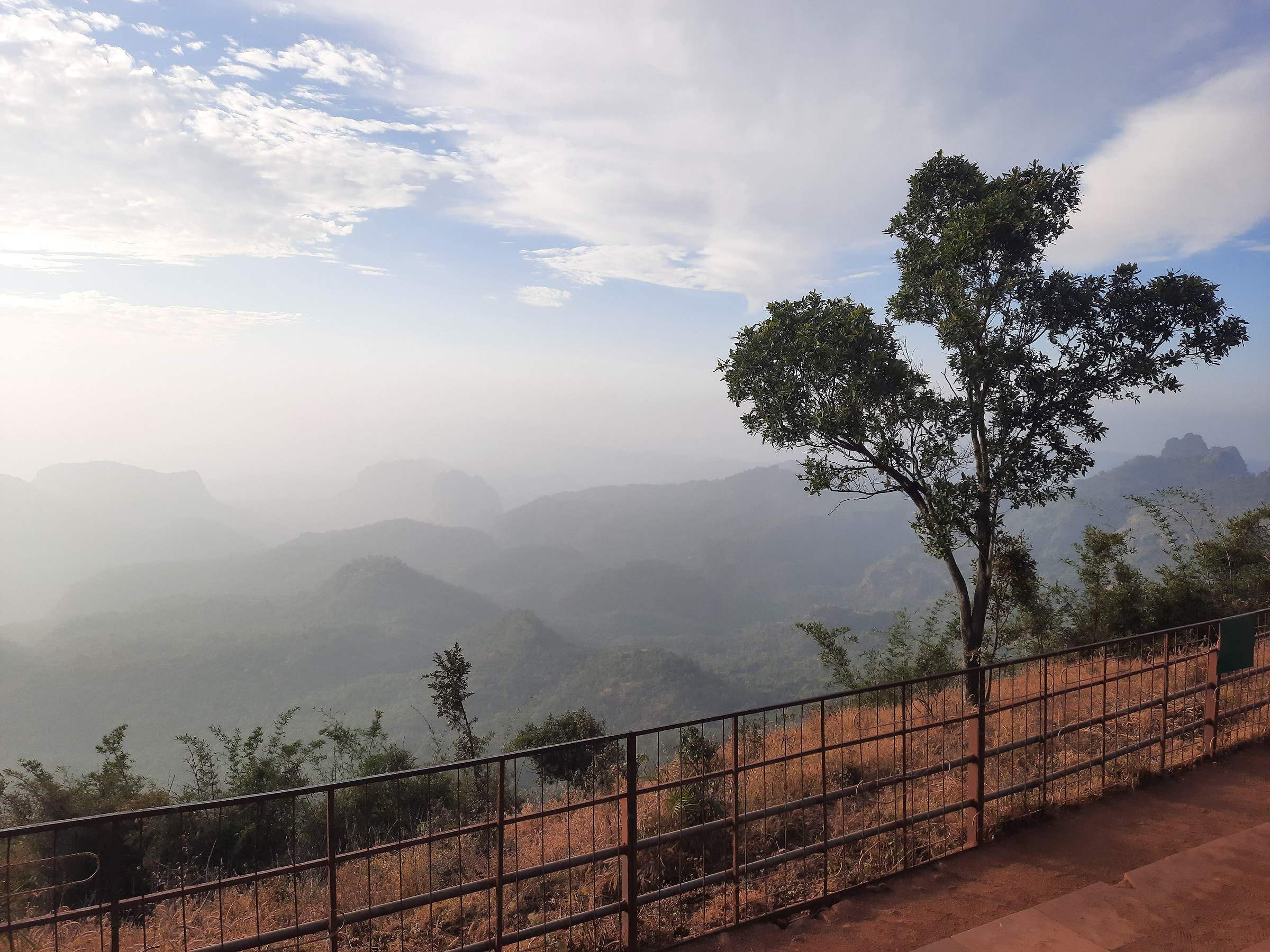 The railed viewpoint at Dhoopgarh with a lone tree and the Satpura ranges fading into haze