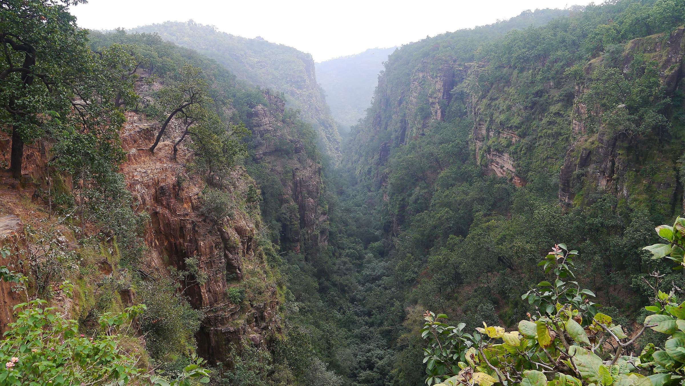 Handi Khoh, a deep forested ravine between sheer rock walls