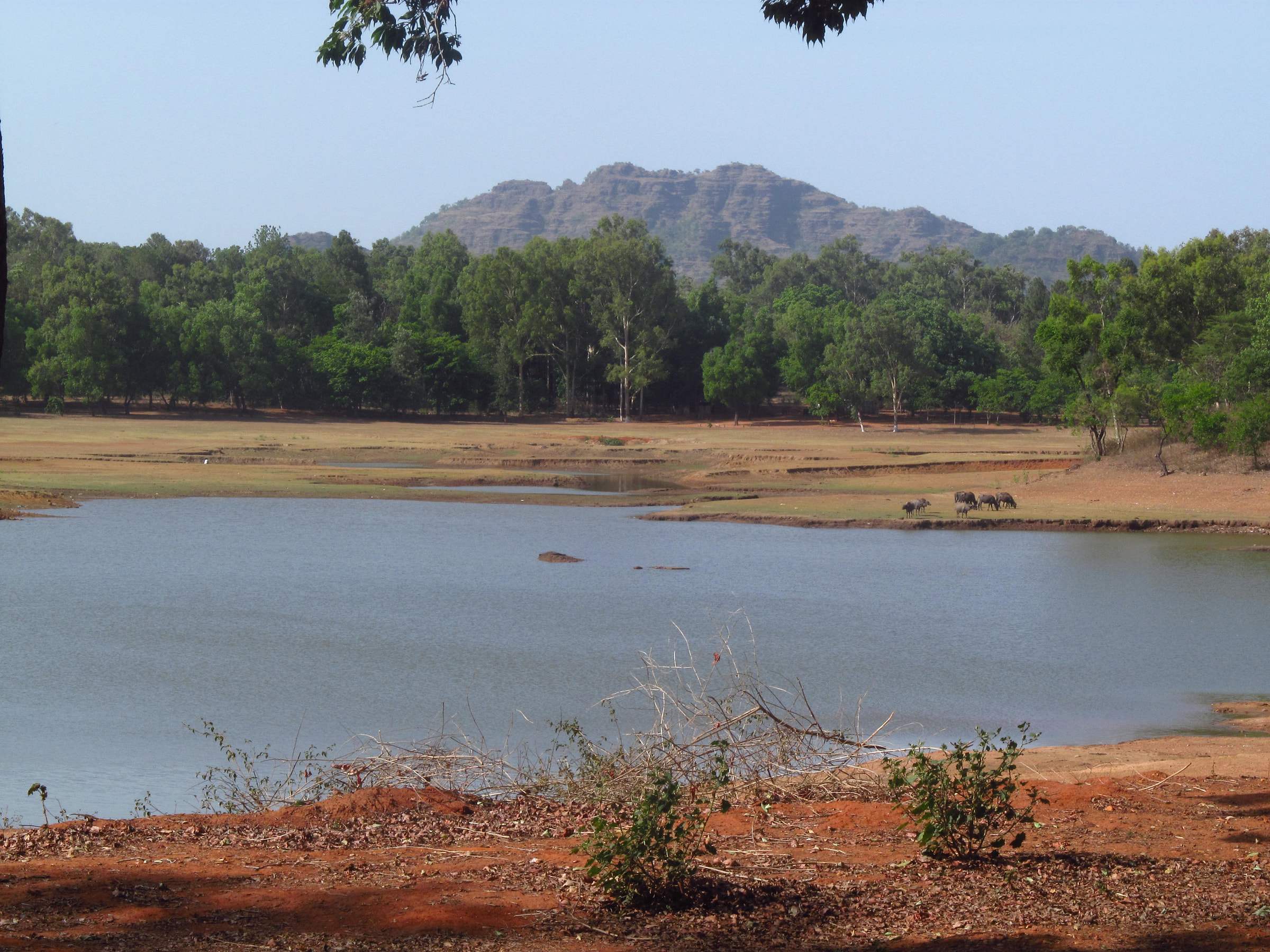 Pachmarhi Lake with forest and a hill behind it