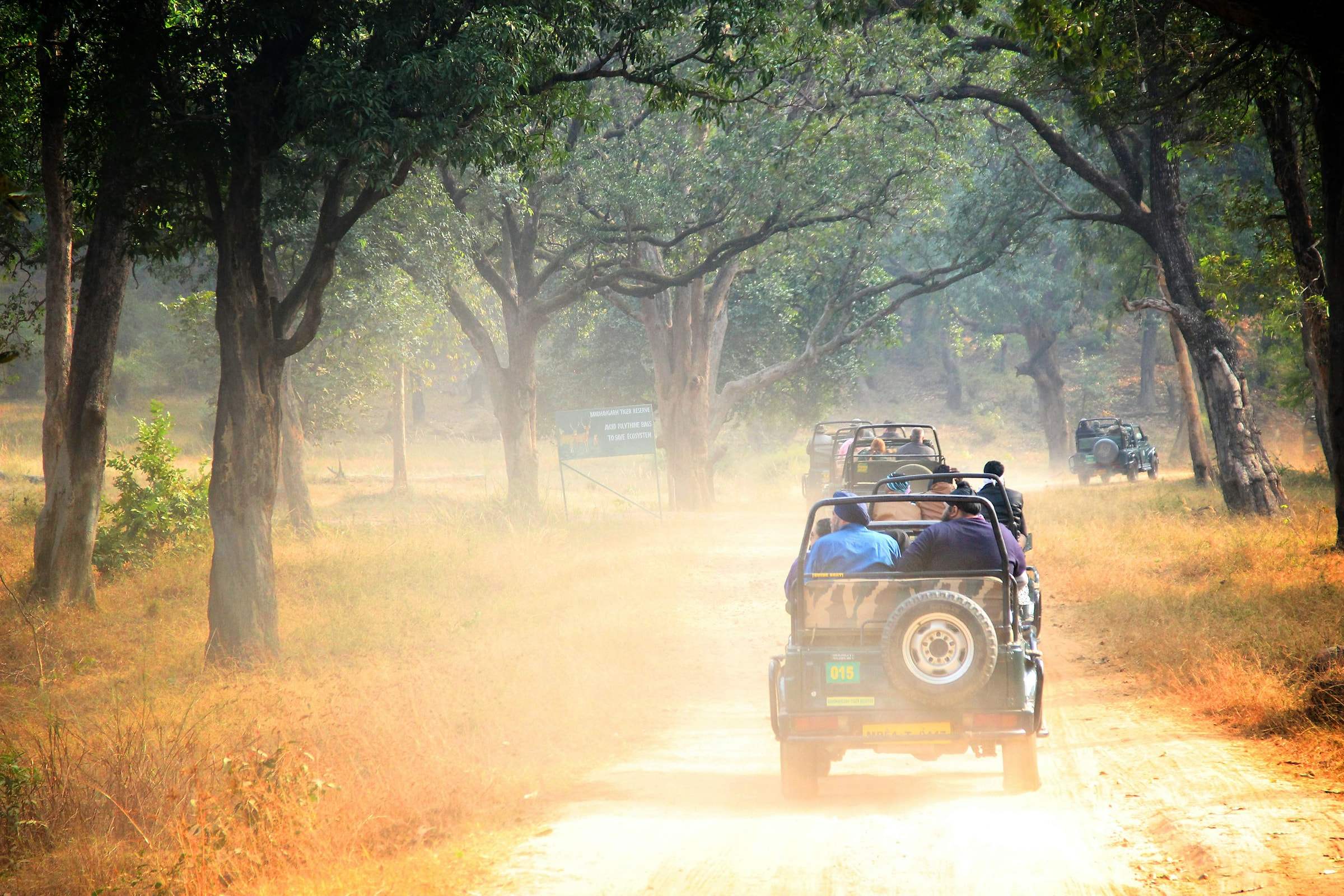 Safari gypsies on a dusty forest road in Madhya Pradesh in golden light